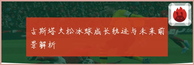 古斯塔夫松冰球成长轨迹与未来前景解析
