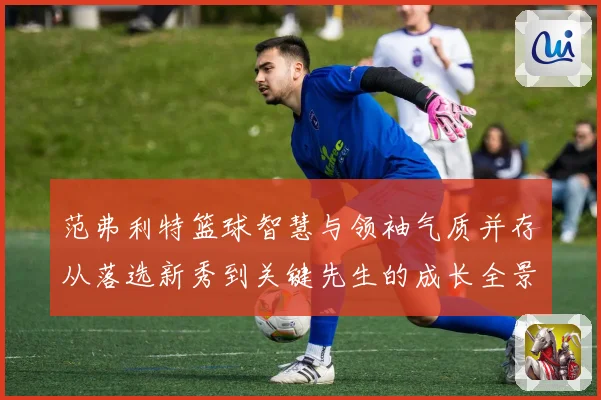 范弗利特篮球智慧与领袖气质并存从落选新秀到关键先生的成长全景解析