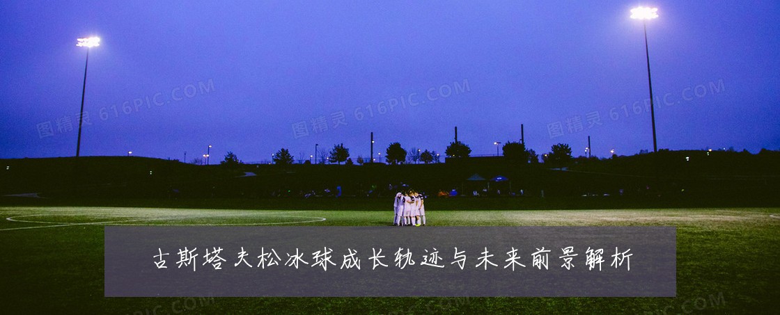 古斯塔夫松冰球成长轨迹与未来前景解析
