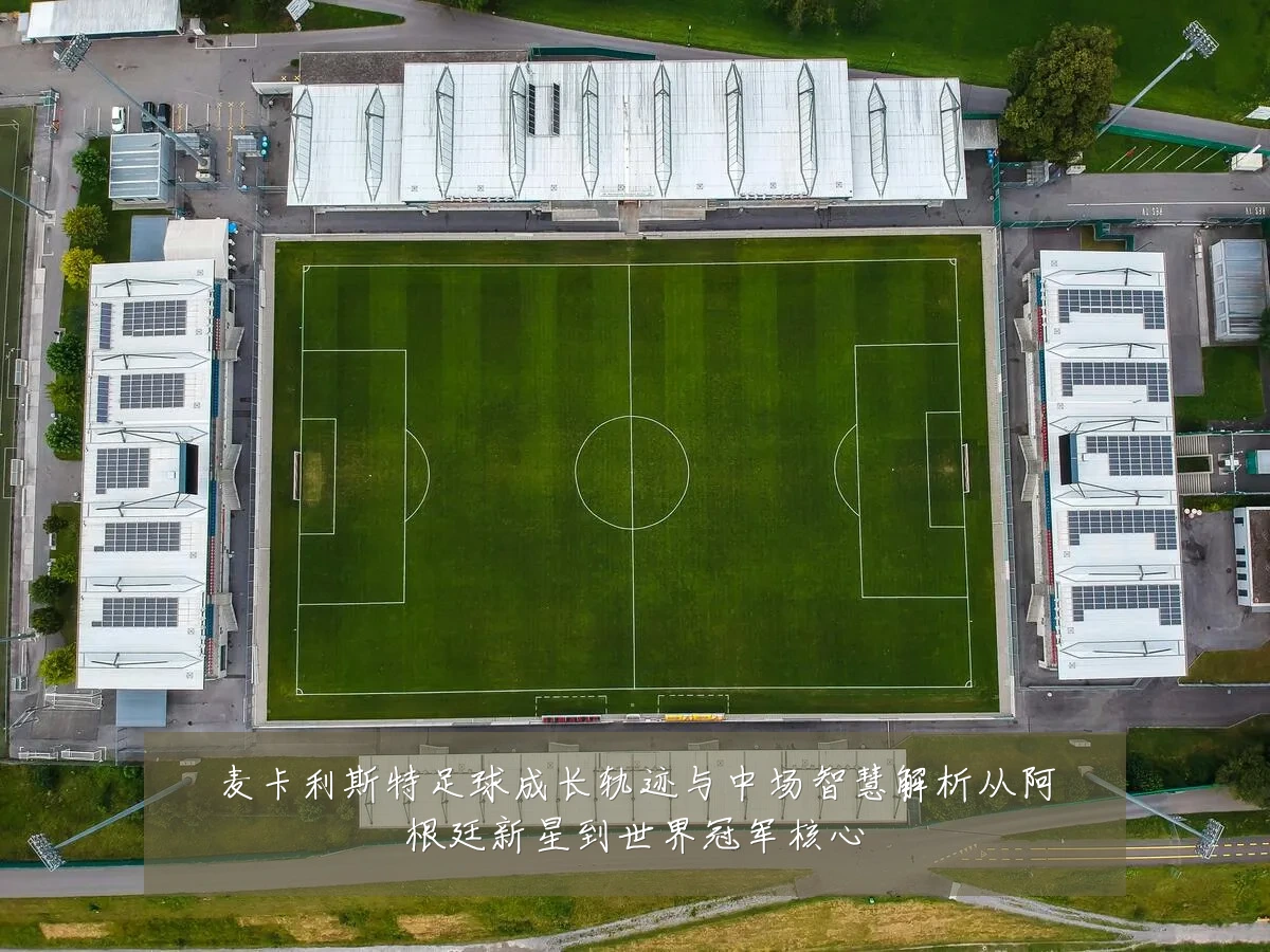 麦卡利斯特足球成长轨迹与中场智慧解析从阿根廷新星到世界冠军核心